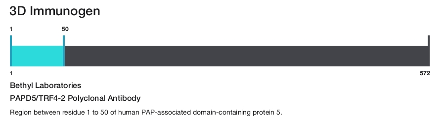 PAPD5/TRF4-2 Polyclonal Antibody
