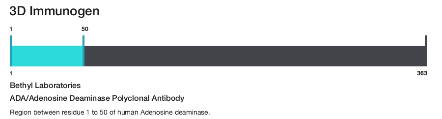 ADA/Adenosine Deaminase Polyclonal Antibody