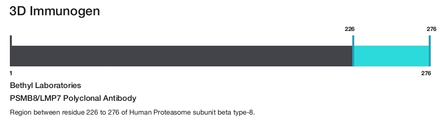 PSMB8/LMP7 Polyclonal Antibody