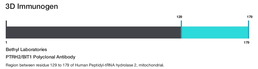 PTRH2/BIT1 Polyclonal Antibody