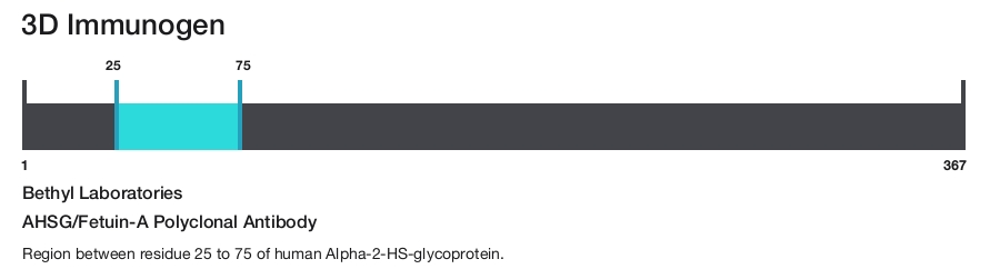 AHSG/Fetuin-A Polyclonal Antibody