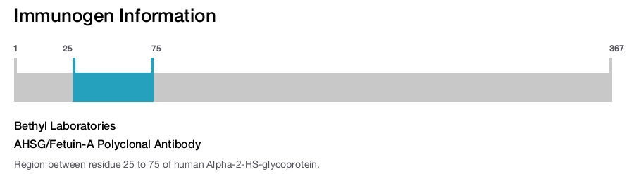 AHSG/Fetuin-A Polyclonal Antibody