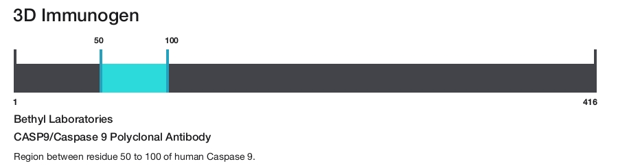 CASP9/Caspase 9 Polyclonal Antibody
