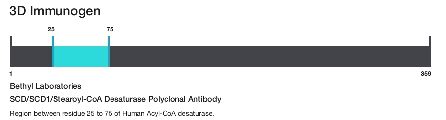 SCD/SCD1/Stearoyl-CoA Desaturase Polyclonal Antibody
