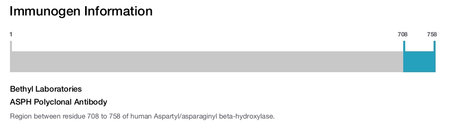 ASPH Polyclonal Antibody