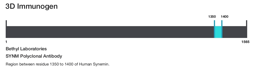 SYNM Polyclonal Antibody