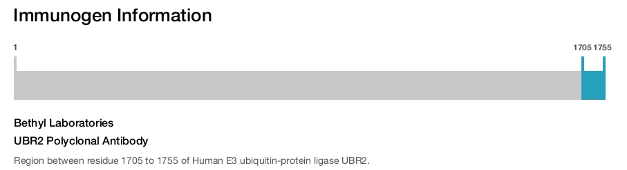 UBR2 Polyclonal Antibody