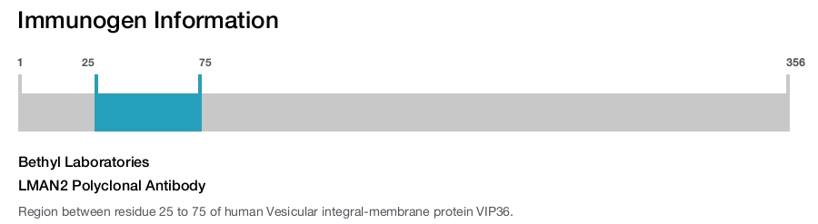 LMAN2 Polyclonal Antibody