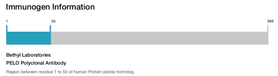 PELO Polyclonal Antibody