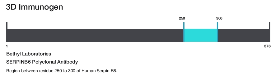 SERPINB6 Polyclonal Antibody