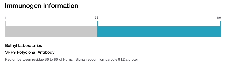 SRP9 Polyclonal Antibody