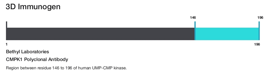 CMPK1 Polyclonal Antibody