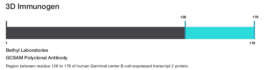 GCSAM Polyclonal Antibody