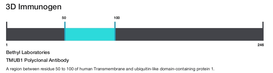 TMUB1 Polyclonal Antibody