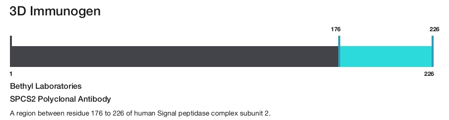 SPCS2 Polyclonal Antibody