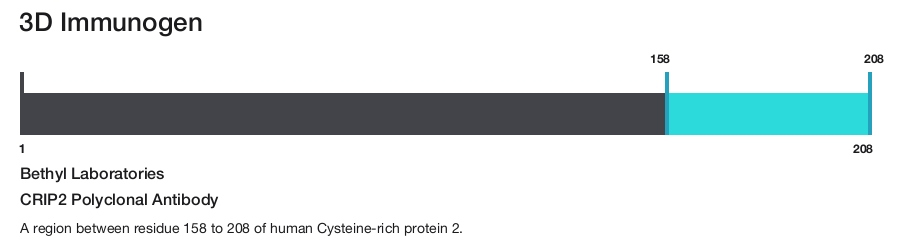 CRIP2 Polyclonal Antibody