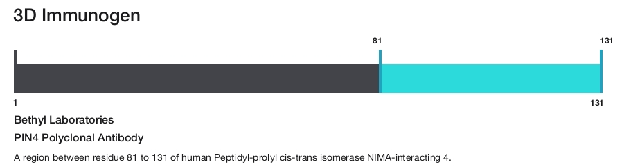 PIN4 Polyclonal Antibody