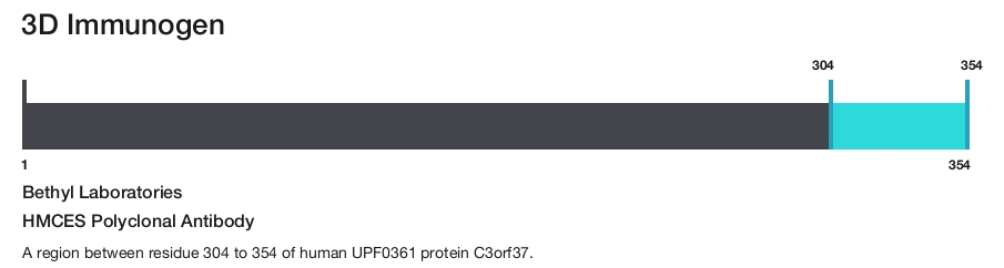 HMCES Polyclonal Antibody