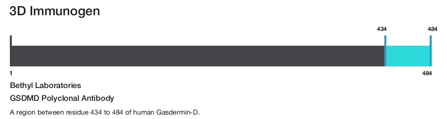 GSDMD Polyclonal Antibody