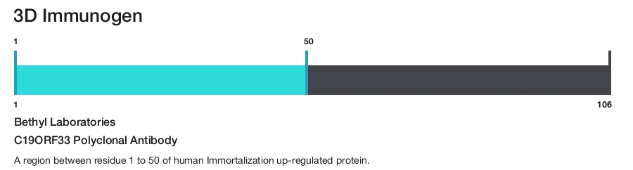C19ORF33 Polyclonal Antibody