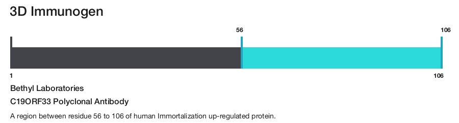 C19ORF33 Polyclonal Antibody