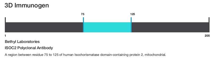 ISOC2 Polyclonal Antibody