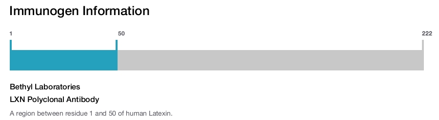 LXN Polyclonal Antibody