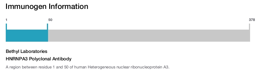 HNRNPA3 Polyclonal Antibody