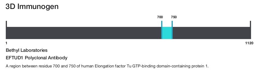 EFTUD1 Polyclonal Antibody