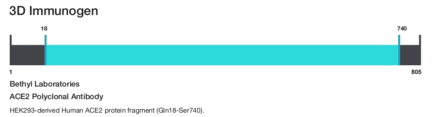 ACE2 Polyclonal Antibody