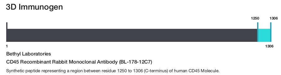CD45 Recombinant Rabbit Monoclonal Antibody (BL-178-12C7)