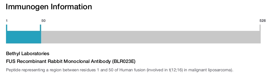 Immunogen Image FUS Recombinant Rabbit Monoclonal Antibody (BLR023E)
