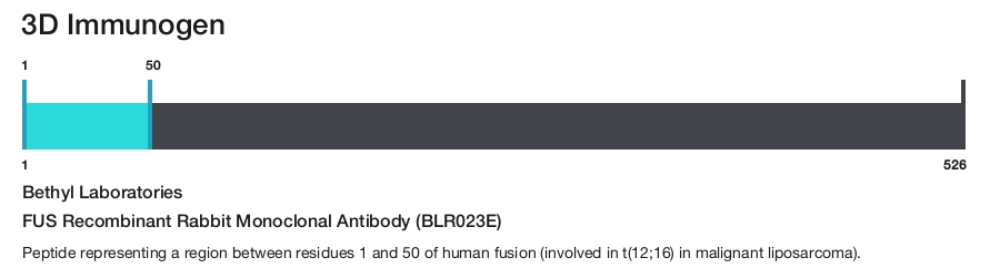 FUS Recombinant Rabbit Monoclonal Antibody (BLR023E)