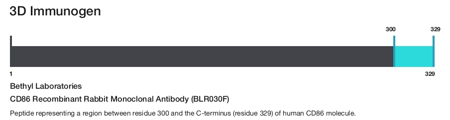CD86 Recombinant Rabbit Monoclonal Antibody (BLR030F)