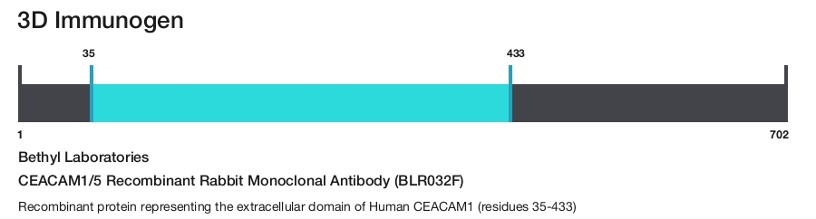 CEACAM1/5 Recombinant Rabbit Monoclonal Antibody (BLR032F)