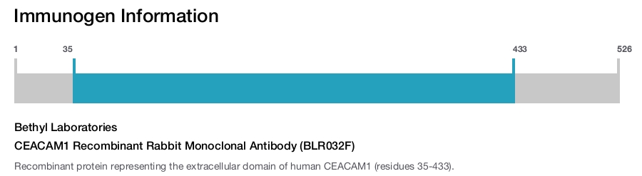 CEACAM1 Recombinant Rabbit Monoclonal Antibody (BLR032F)