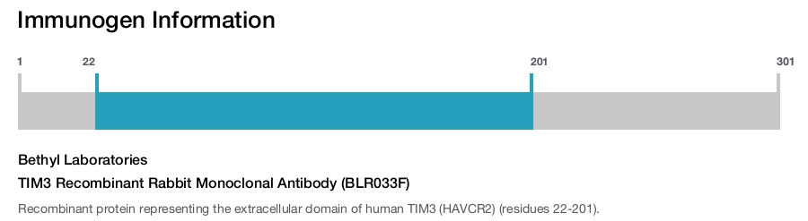 TIM3 Recombinant Rabbit Monoclonal Antibody (BLR033F)