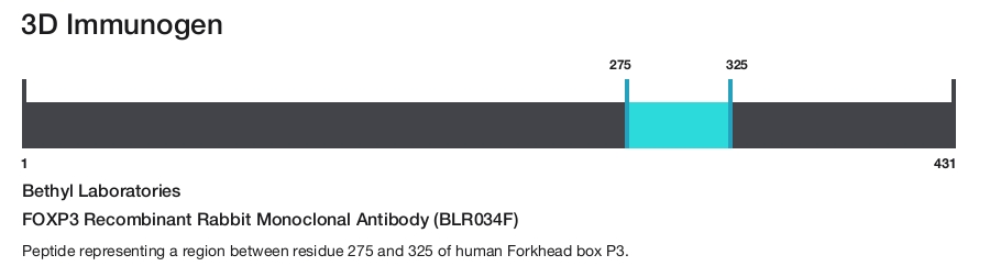 FOXP3 Recombinant Rabbit Monoclonal Antibody (BLR034F)