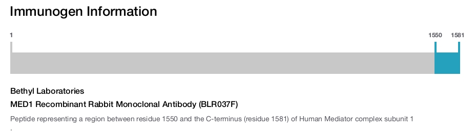 MED1 Recombinant Rabbit Monoclonal Antibody (BLR037F)