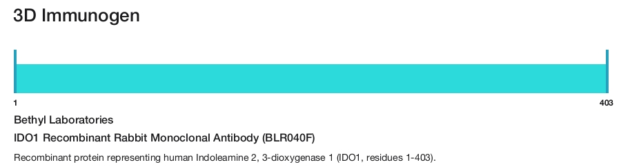 IDO1 Recombinant Rabbit Monoclonal Antibody (BLR040F)
