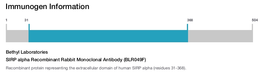 SIRP alpha Recombinant Rabbit Monoclonal Antibody (BLR049F)