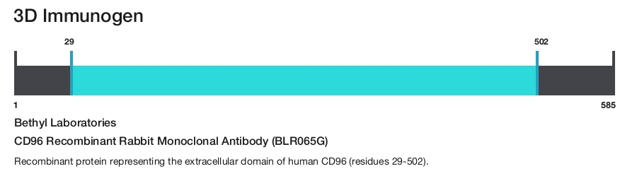CD96 Recombinant Rabbit Monoclonal Antibody (BLR065G)