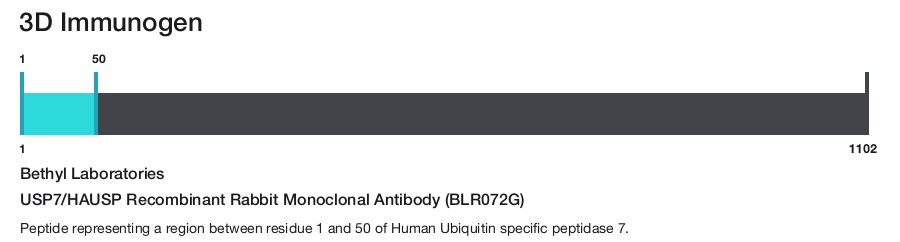 USP7/HAUSP Recombinant Rabbit Monoclonal Antibody (BLR072G)