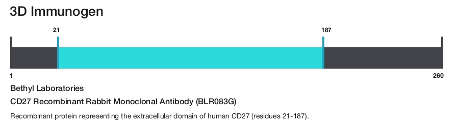 CD27 Recombinant Rabbit Monoclonal Antibody (BLR083G)