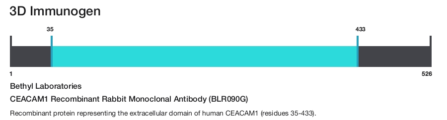 CEACAM1 Recombinant Rabbit Monoclonal Antibody (BLR090G)