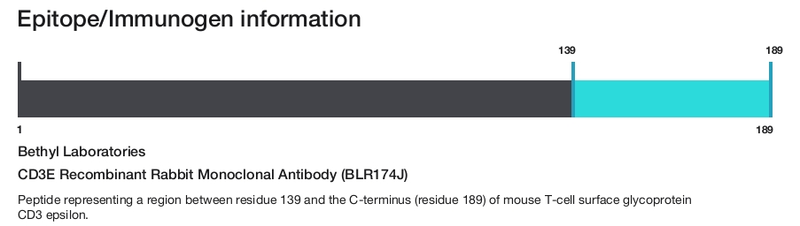 CD3E Recombinant Rabbit Monoclonal Antibody (BLR174J)