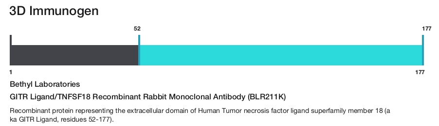 GITR Ligand/TNFSF18 Recombinant Rabbit Monoclonal Antibody (BLR211K)