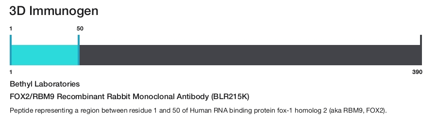 FOX2/RBM9 Recombinant Rabbit Monoclonal Antibody (BLR215K)
