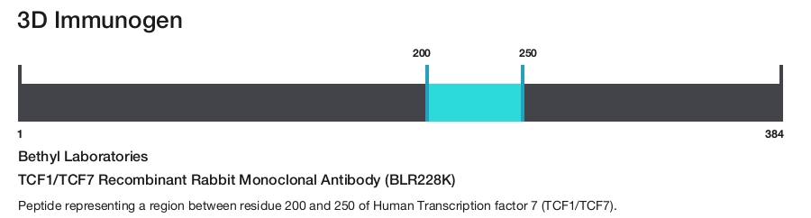 TCF1/TCF7 Recombinant Rabbit Monoclonal Antibody (BLR228K)