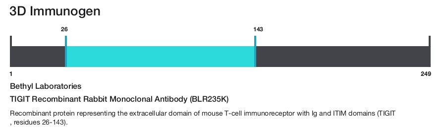 TIGIT Recombinant Rabbit Monoclonal Antibody (BLR235K)